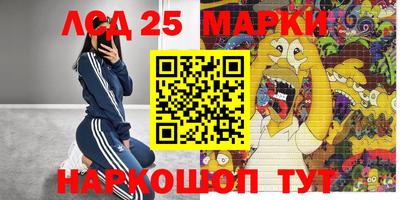 mdpv Беслан